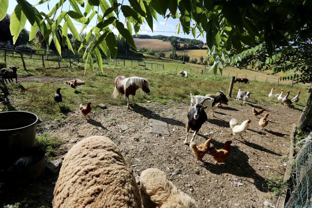 La Ferme Couderc Villa Castelnaud-de-Gratecambe Luaran gambar